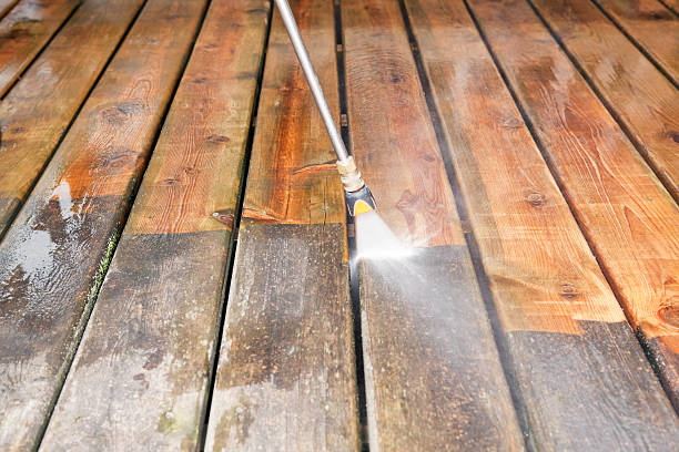 Best Solar Panel Cleaning  in Vero Lake Estates, FL